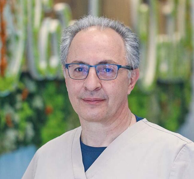 Olive Tree Dental Logo