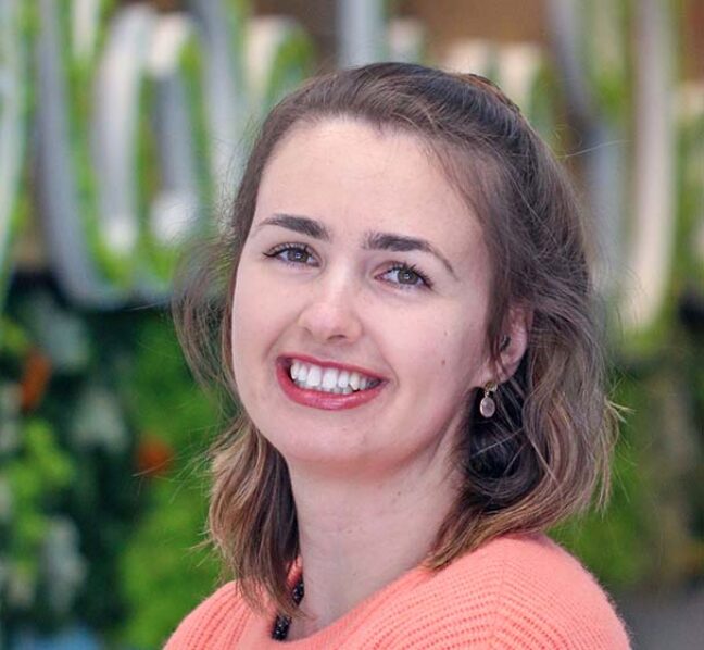 Olive Tree Dental Logo